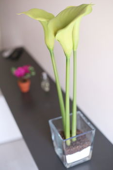 Iris Maison d'hôtes Rome